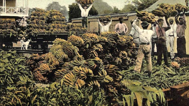 se retira united fruit company