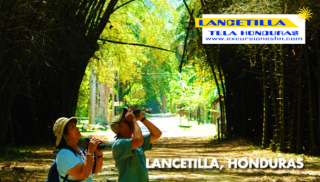 El jardín pasa a manos del gobierno hondureño