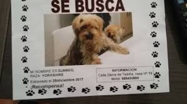 el peor dia y mejor dia