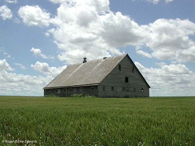 From 1910 to 1930, rain was plentiful on the Southern Plains