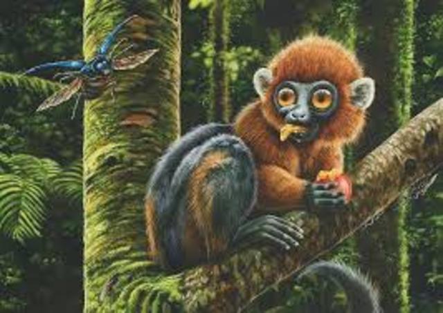 los sobrevivientes a la masacre