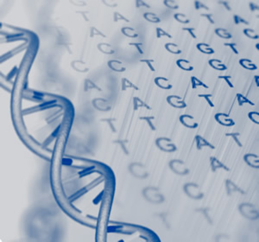 Division of Intramural Research, DIR