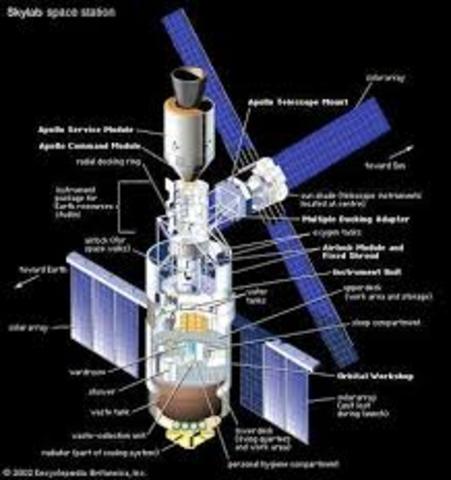 The First Ideas of the Skylab
