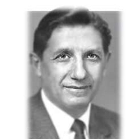 TEORÍA DEL COMPORTAMIENTO HUMANO