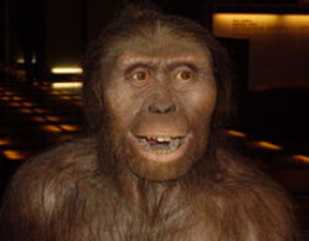 austrolopitecus