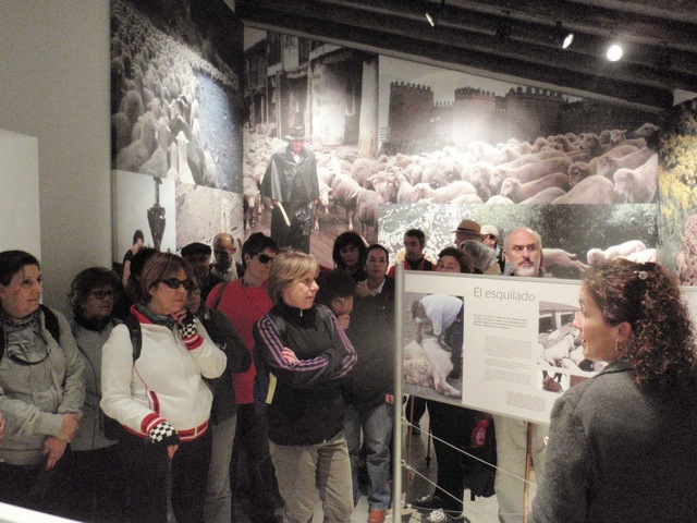 Esquila Didáctica II