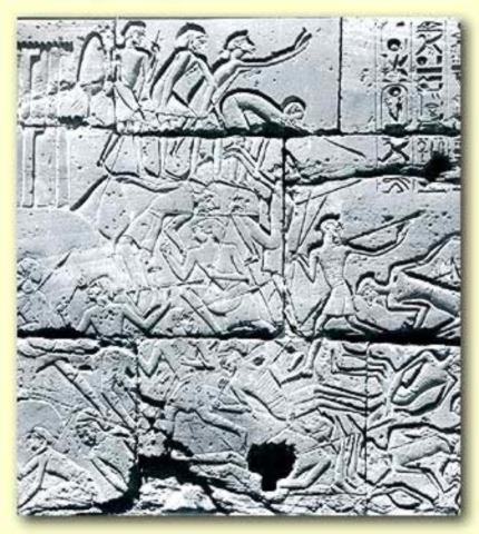 skrift og  vitenskap