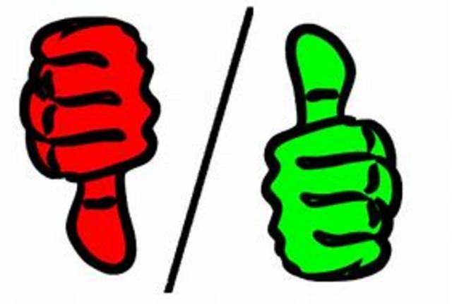 Crítica de la actividad