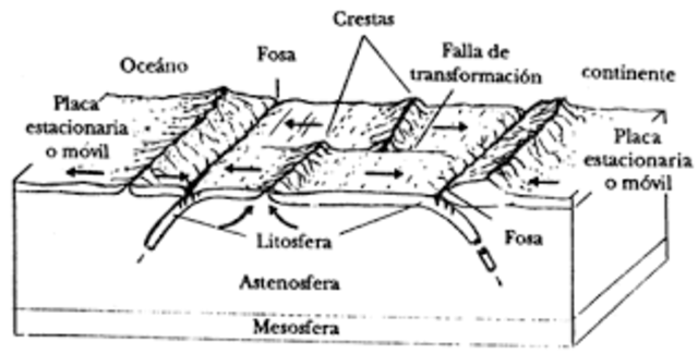 TEORIA TECTÒNICA GLOBAL