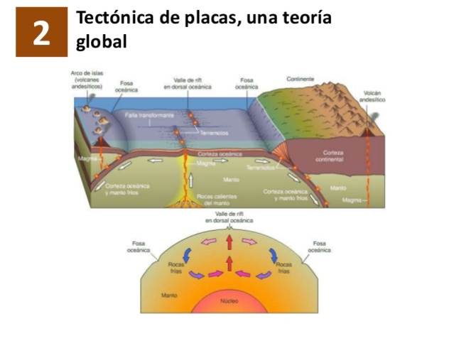 tectonica global