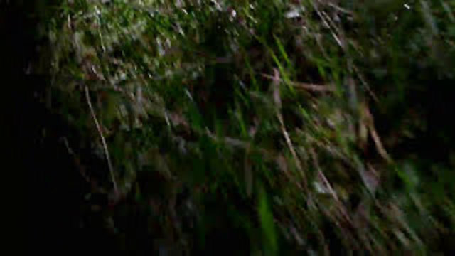 1st Video - Flying my drone!