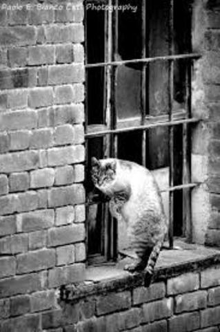 La pobreza de los Marx