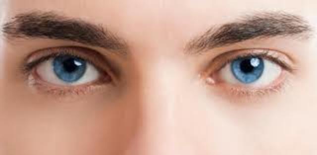 APARICIÓ PRIMERS ORGANISMES VISIBLES A ULL NU