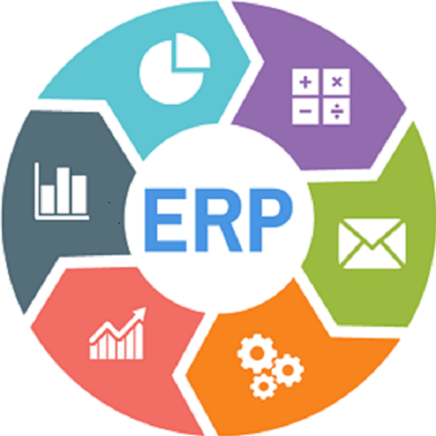 Enterprise Resource Planning (ERP)
