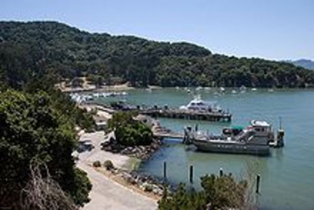 Angel Island Begins Accepting Immigrants