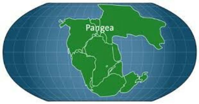 Pangea