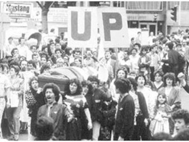 Nace la unión patriótica