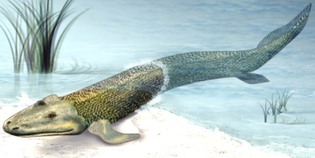 la vida en la tierra