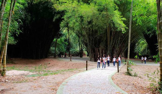 Jardín botánico Lancetila