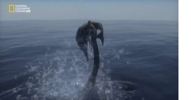 nuevas especies acuaticas