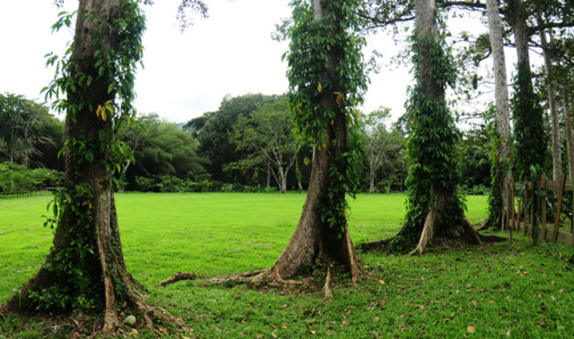 La ciencia tomada de la mano con Lancetilla