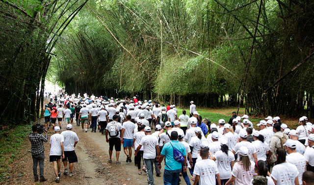 Estidantes de Harvard vienen a recolectar especimenes.