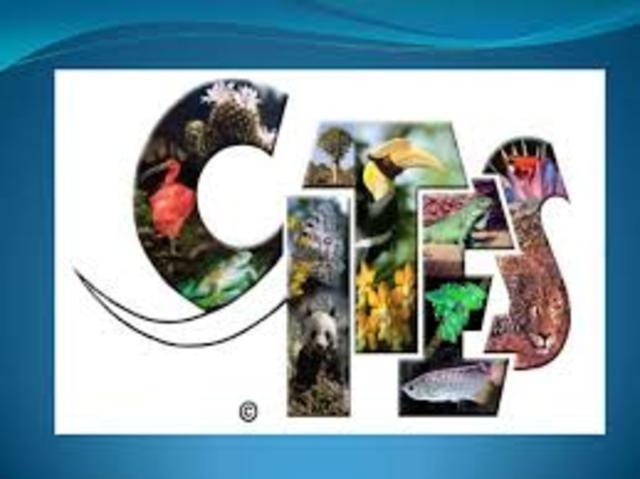 La Convención sobre el Comercio Internacional de Especies Amenazadas de Fauna y Flora Silvestre (CITES)