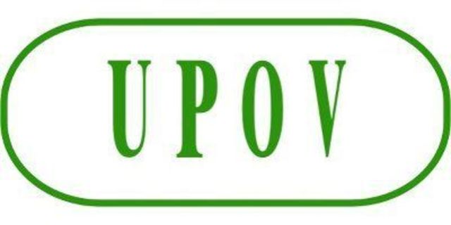 Unión internacional para la protección de las obtenciones vegetales