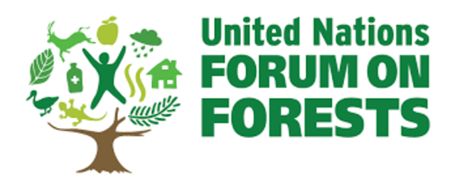 Foro de las Naciones Unidas Sobre Bosques UNFF
