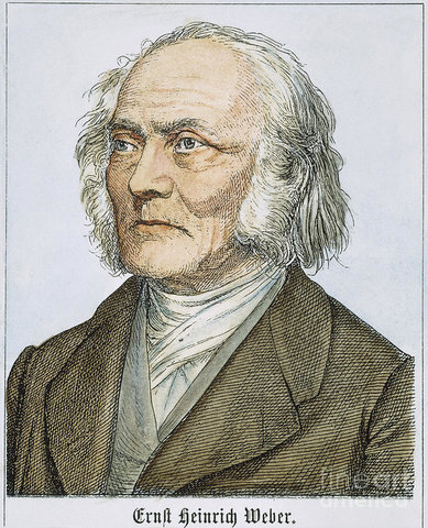 Ernst Heinrich Weber