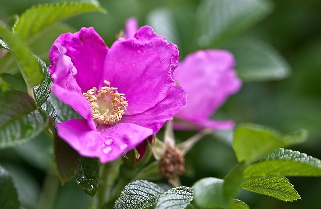 Menopause Support Group - Wayside