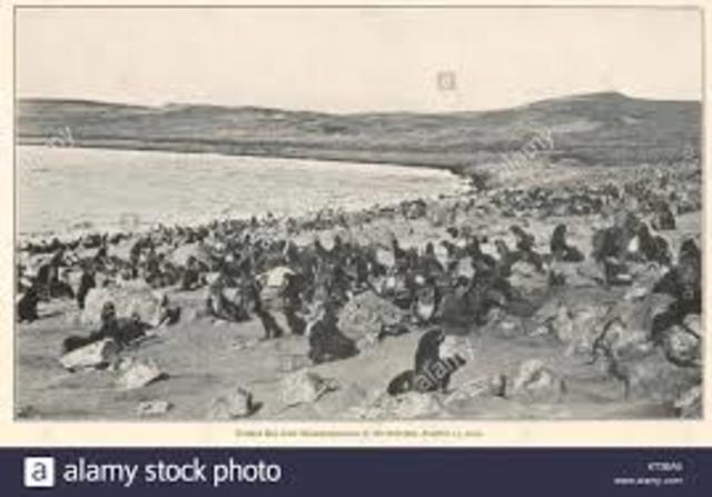 Japan declares war on Germany