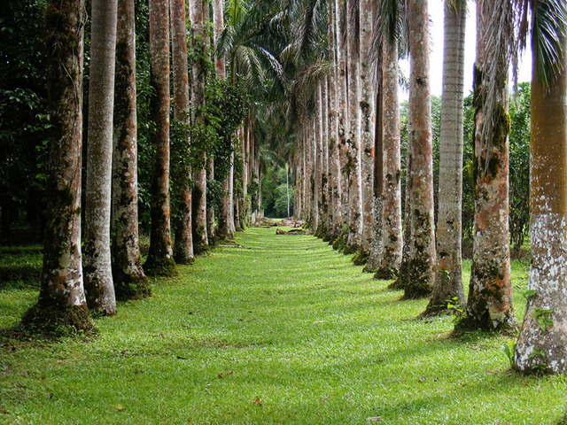 En cuantas zonas esta dividida lancetilla