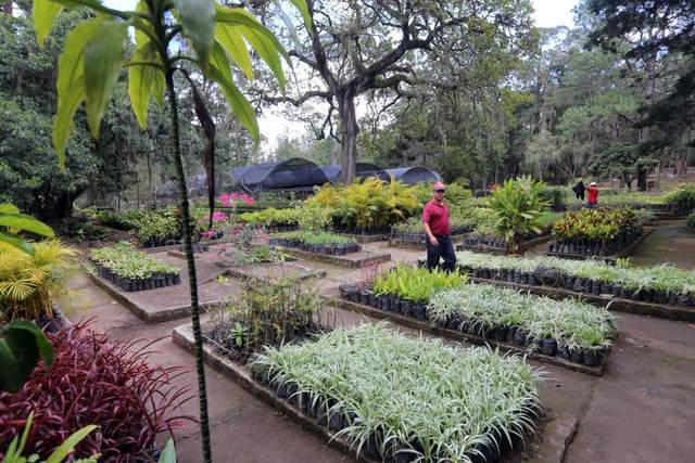 Creación de un segundo Jardín Botánico