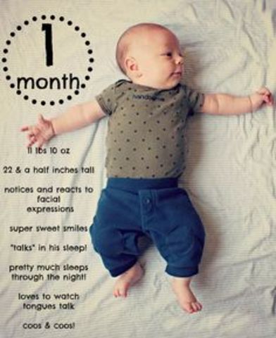 Baby's 1st Month
