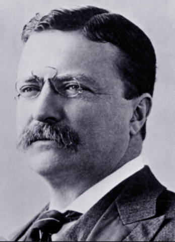 Theodore Roosevelt