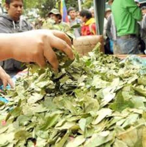 DE LOS ANDES AL MUNDO