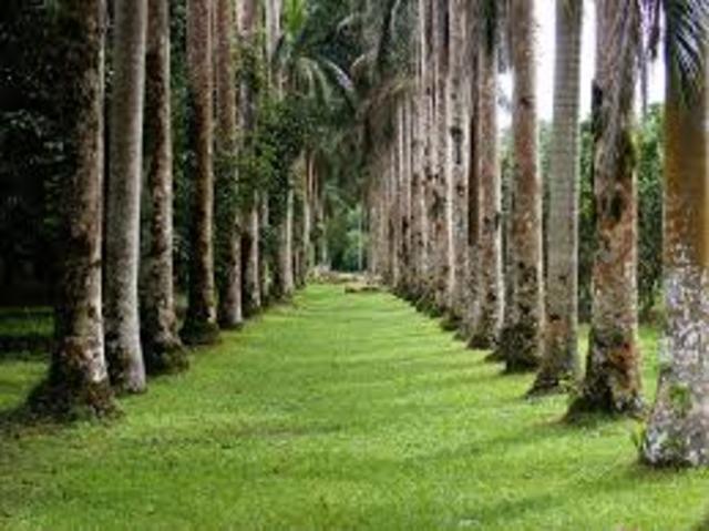 Extencion del parque Botanico