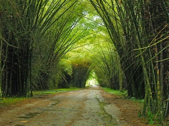 Parque botánico lancetilla