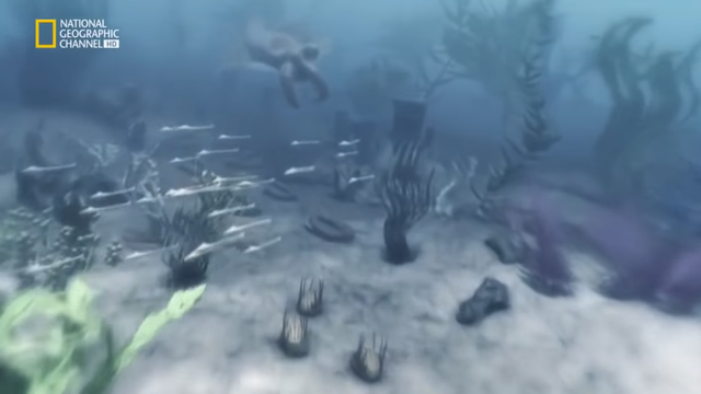 La explosión cámbrica