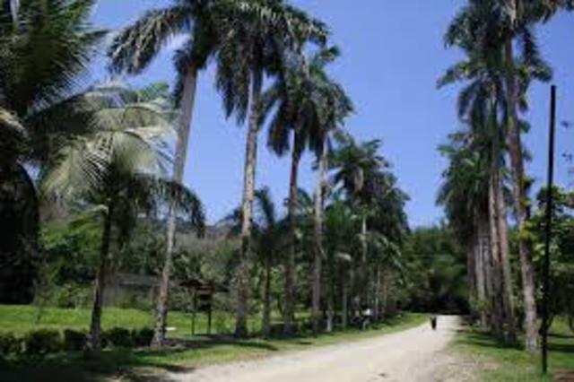 United Fruit Company