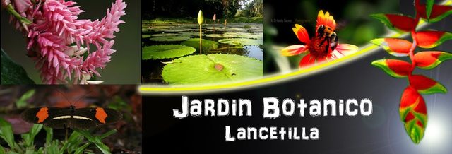 Investigación del Jardín botánico Lancetilla