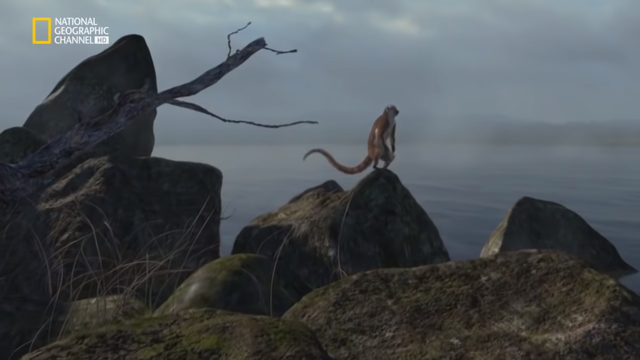 Reinado de los mamíferos