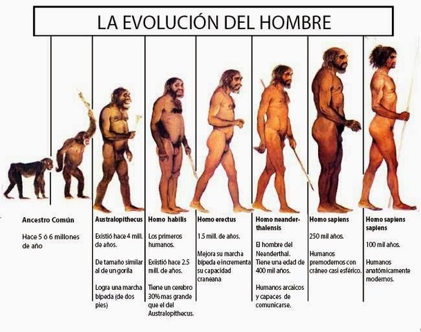 El ser humano