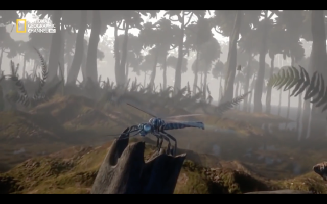 la evolución y el aumento de las especies