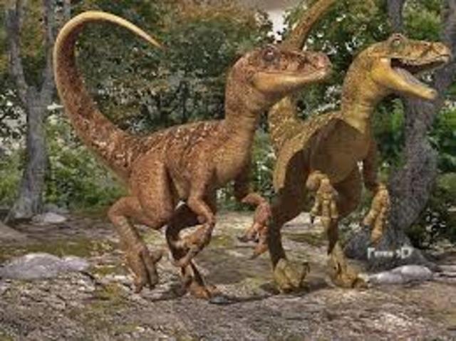 Les primeres manades