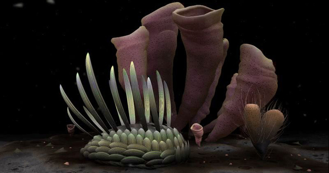 Evolución de la Bacterias