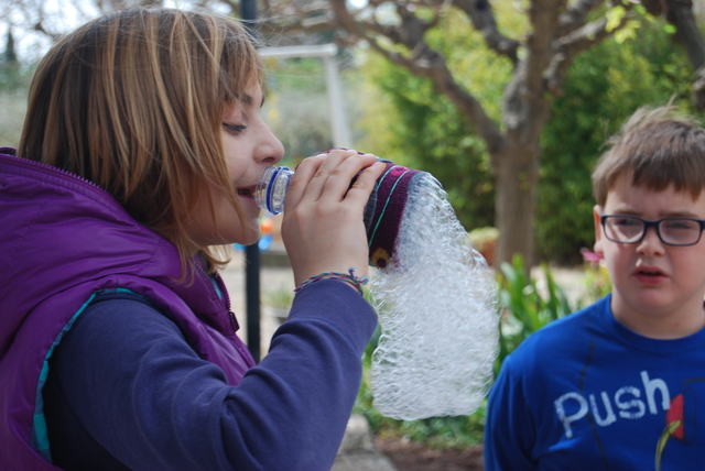 Experimentant l'aigua amb sabó