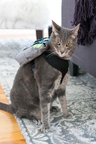 I started 4th grade.