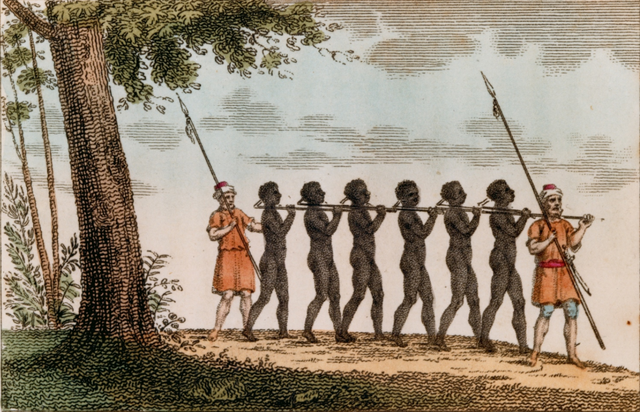 First African slaves arrive in Virginia.